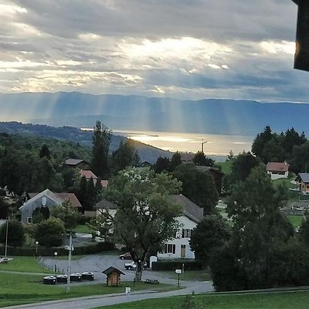 Balcony Of Lake Geneva Thollon-les-Mémises Extérieur photo